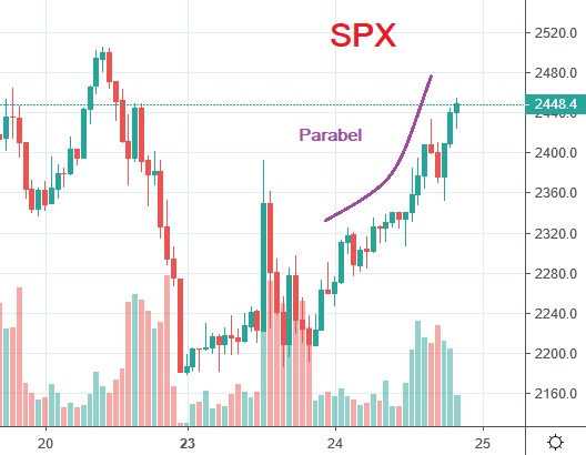 Der USA Bären-Thread 1168616