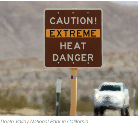 Der USA Bären-Thread 994457