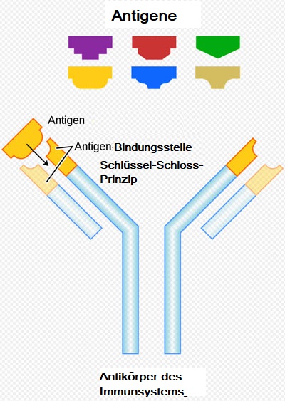 Der USA Bären-Thread 1169121