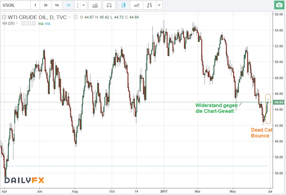 Der USA Bären-Thread 998647
