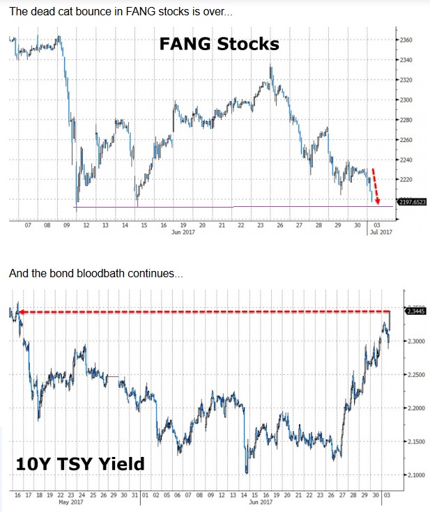 Der USA Bären-Thread 999294