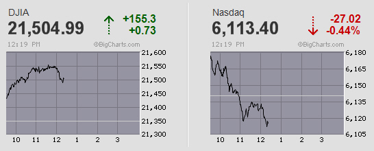 Der USA Bären-Thread 999297