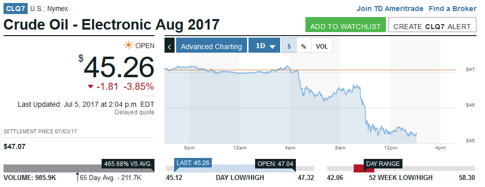 Der USA Bären-Thread 999688