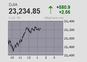 Der USA Bären-Thread 1171511