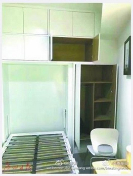 Der USA Bären-Thread 1003287