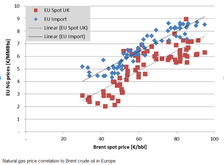 Der USA Bären-Thread 1171760