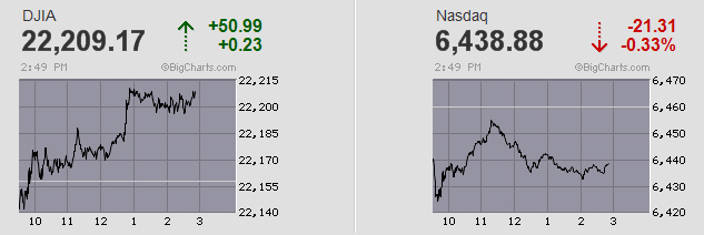 Der USA Bären-Thread 1012415