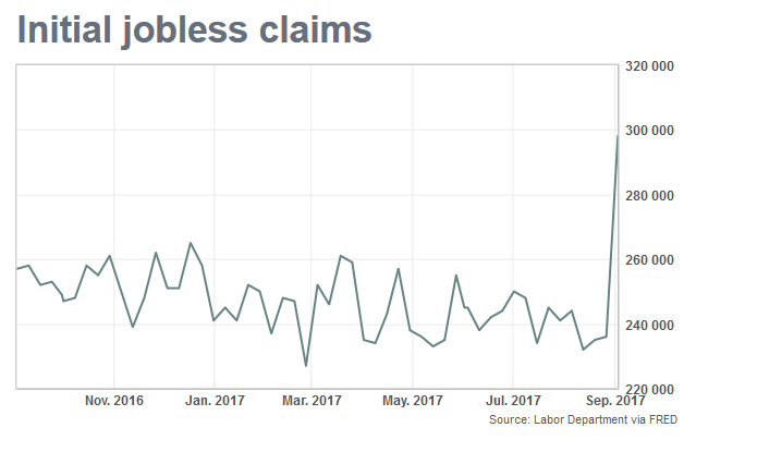 Der USA Bären-Thread 1011521