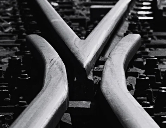 Der USA Bären-Thread 1175392