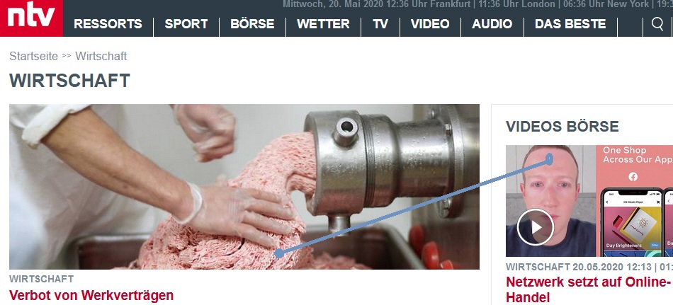 Der USA Bären-Thread 1179560