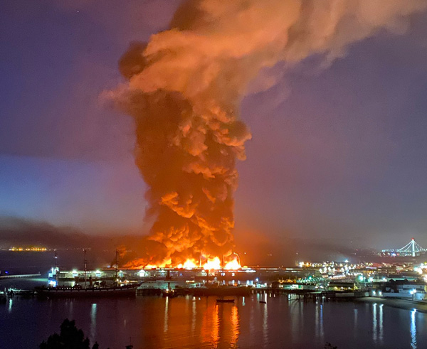 Der USA Bären-Thread 1180173