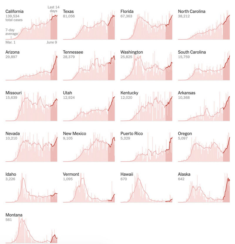 Der USA Bären-Thread 1184147