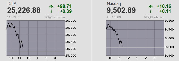 Der USA Bären-Thread 1184444