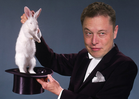 Der USA Bären-Thread 1190964