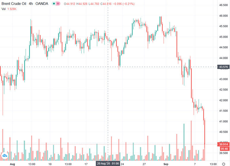 Der USA Bären-Thread 1200326