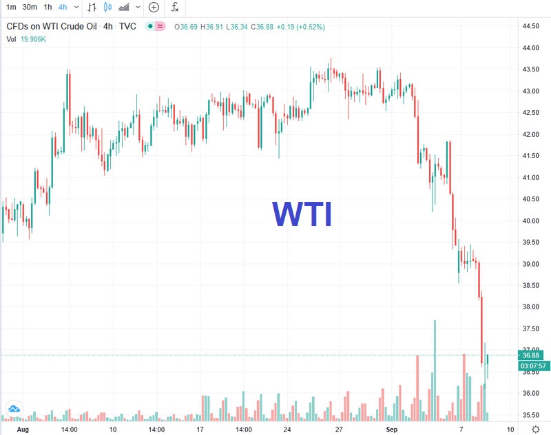 Der USA Bären-Thread 1200396