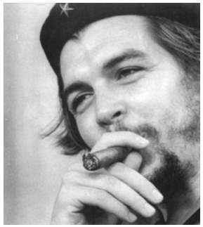 Der USA Bären-Thread 584940