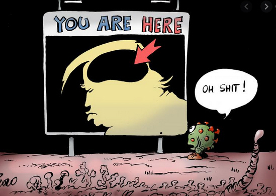 Der USA Bären-Thread 1204549