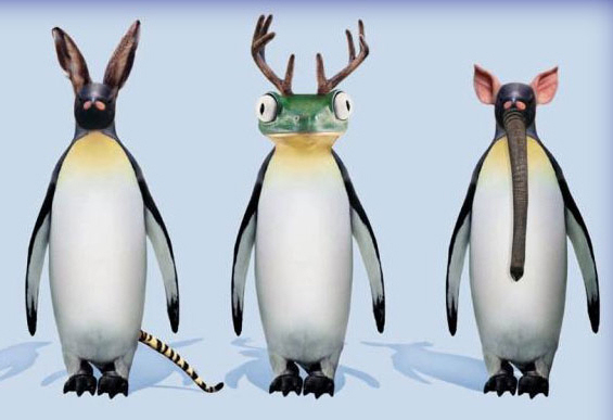 Der USA Bären-Thread 1204708