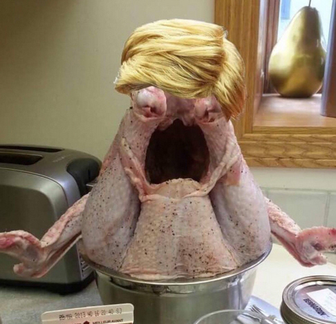 Der USA Bären-Thread 1205115