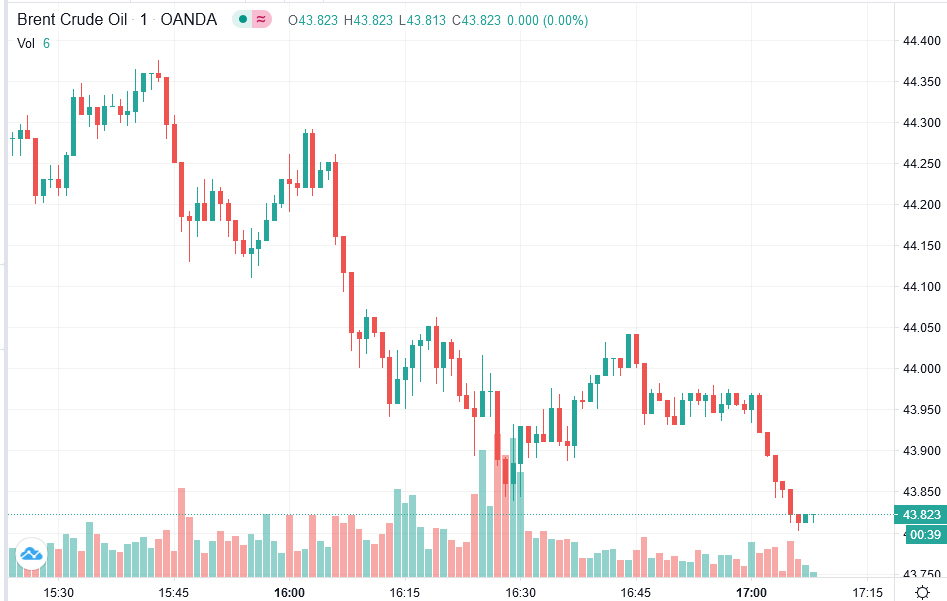 Der USA Bären-Thread 1213715