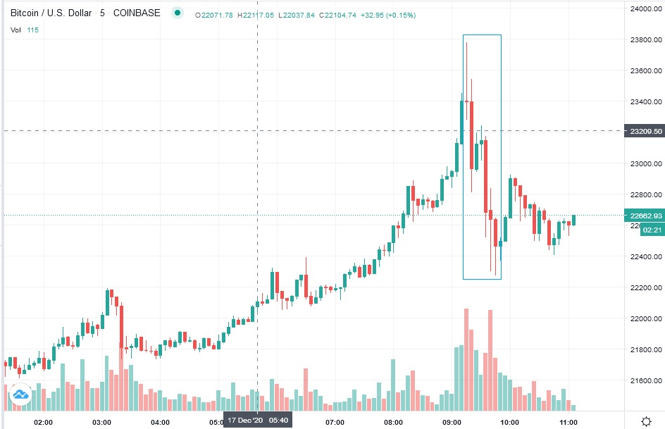 Der USA Bären-Thread 1220549
