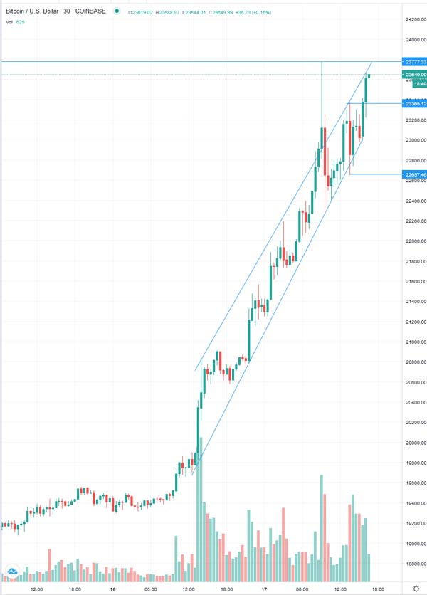 Der USA Bären-Thread 1220655