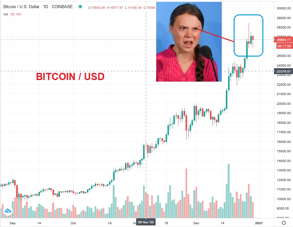 Der USA Bären-Thread 1222902