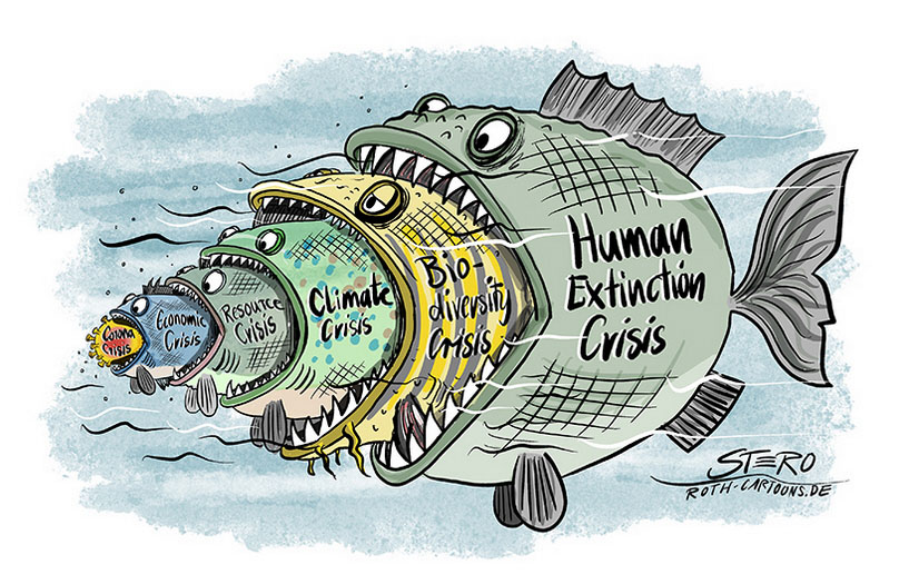 Der USA Bären-Thread 1227447