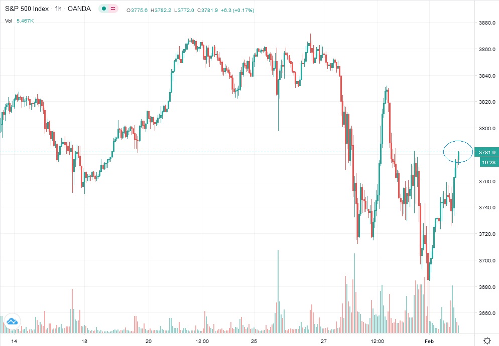 Der USA Bären-Thread 1230504