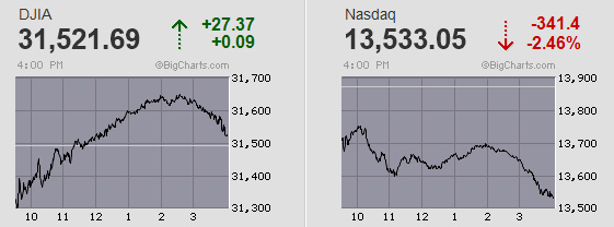 Der USA Bären-Thread 1235367