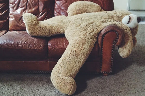 Der USA Bären-Thread 1241690