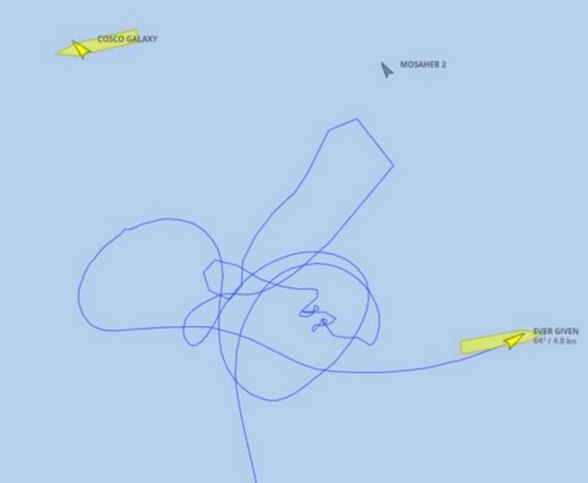 Der USA Bären-Thread 1242606