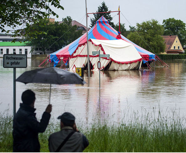 Der USA Bären-Thread 612500