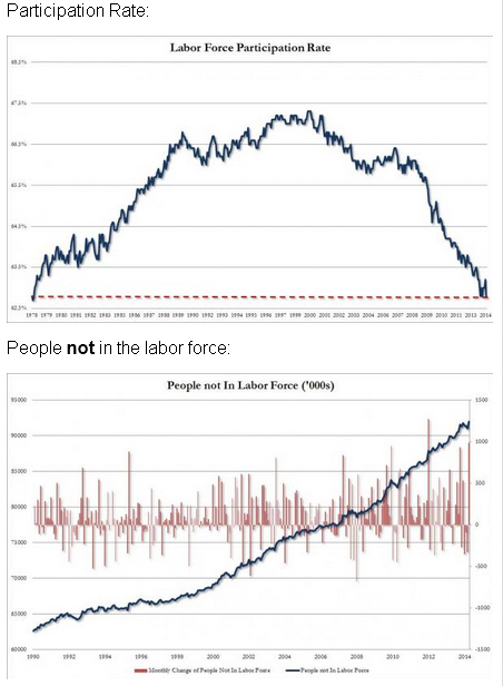 Der USA Bären-Thread 719652