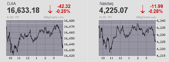 Der USA Bären-Thread 727570