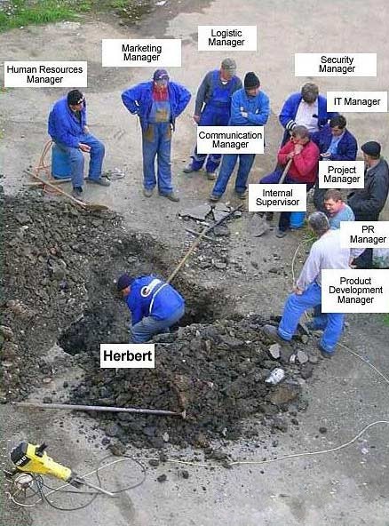 Der USA Bären-Thread 397737