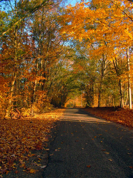 Ein Ölgigant erwacht! 117211