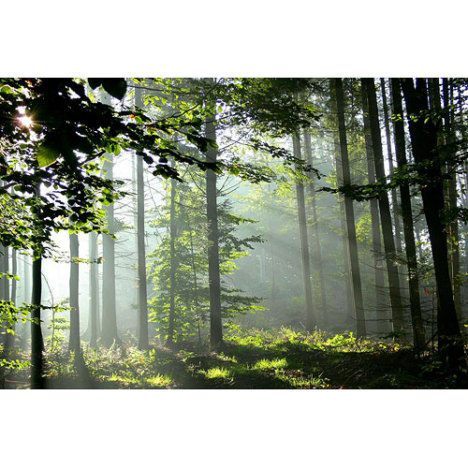 639.DAX Tipp-Spiel, Freitag, 12.10.07 125273