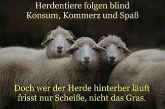 Steinhoff International Holdings N.V. 1200748