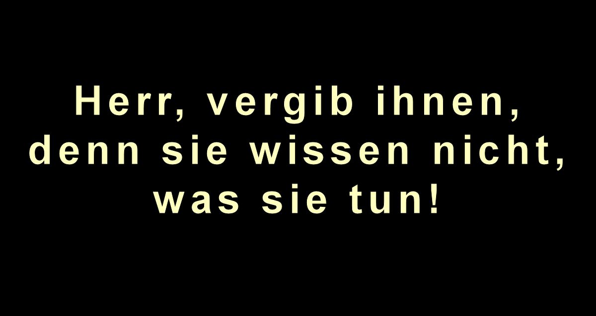 Der USA Bären-Thread 1112315