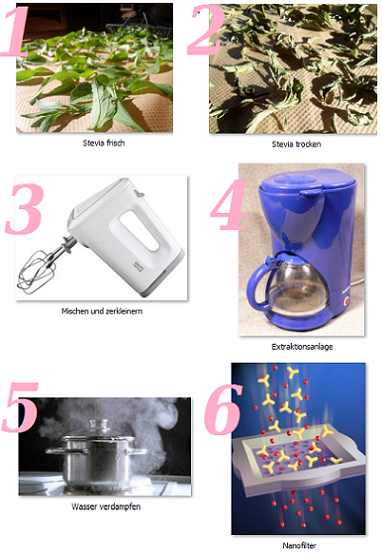 Ab hier geht ´s nach oben - Sunwin - Stevia 743143