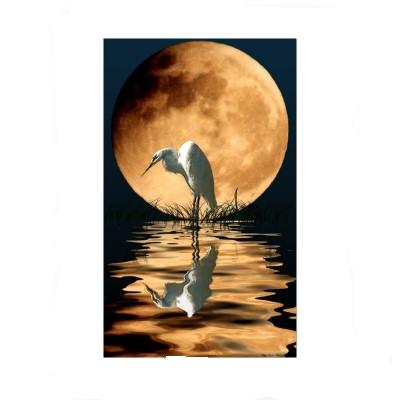 Yukon Nevada Goldmines: bald positive News? 339623