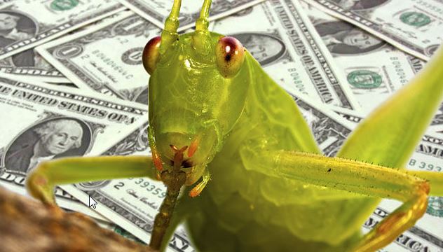 Dax & Co. - deutsche Aktien ins Depot! 722625