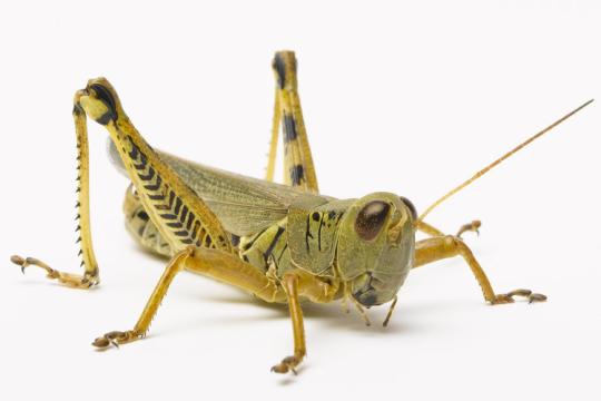 RWE/Eon - sell out beendet? 859359