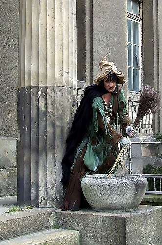 Der USA Bären-Thread 221307