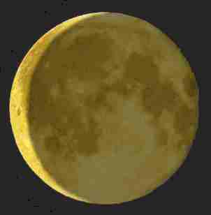 553.DAX Tipp-Spiel, Donnerstag, 14.06.07 103280