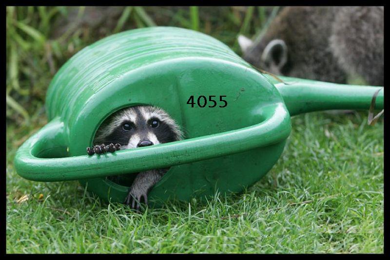 1010. DAX-Tipp-Spiel, Donnerstag 02.04.09. 225421