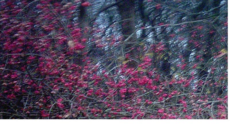 HEYDE AG O.N. der Chart sagt Alles 372408