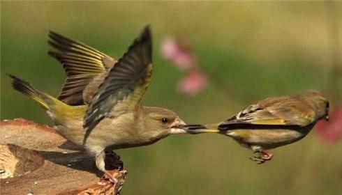 Quo Vadis Dax 2011 - All Time High? 469173